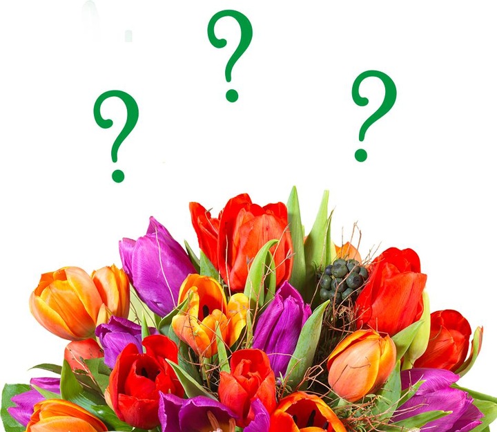 Rutishauser Blumen Tulipani, colore a sorpresa (Fiori recisi)
