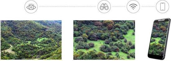 Image du produit Levenhuk Kelvin Snap ED 8x42 Digital Photobinoculars (8x, 42 mm)