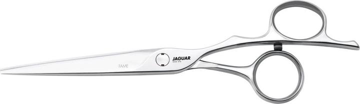 Image du produit Jaguar Fame Silver Line (13.97 cm)