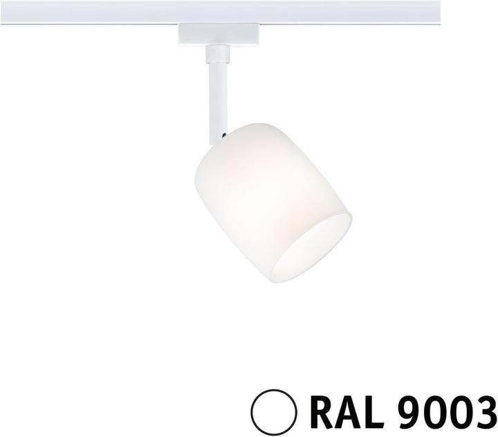Image du produit Paulmann URail Blossom (G9)