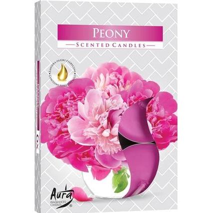 Aura Candles, Kerzen, Teelichte Duft 6er Pfingstrose in Faltschachtel (6 Stk.)
