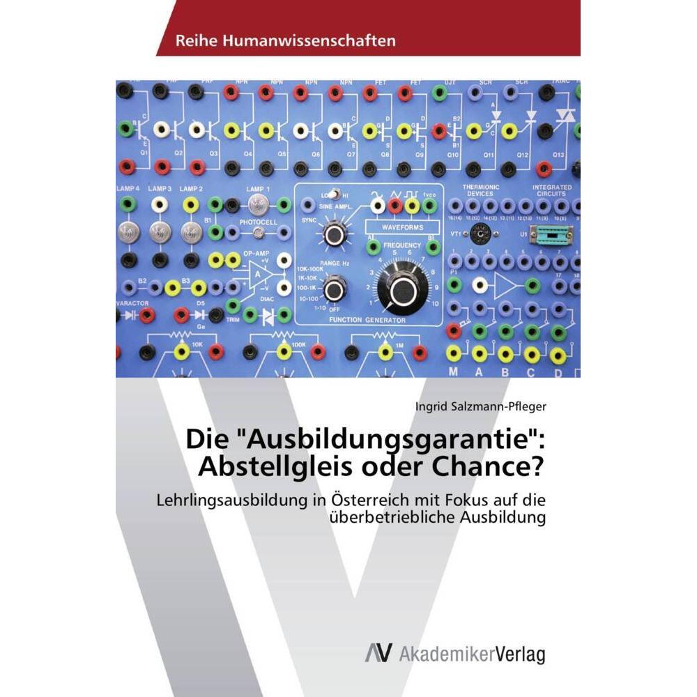 Die "Ausbildungsgarantie": Abstellgleis oder Chance?, Ratgeber von Ingrid Salzmann-Pfleger