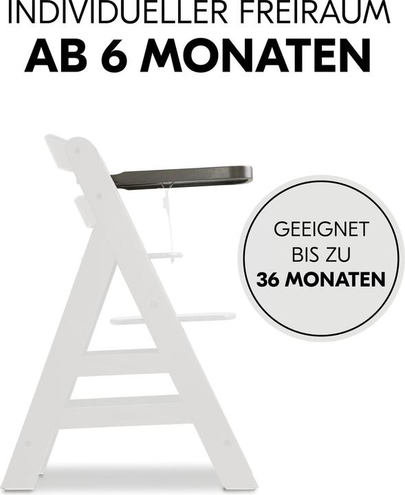 Produktbild Hauck Alpha Wooden Tray Charcoal
