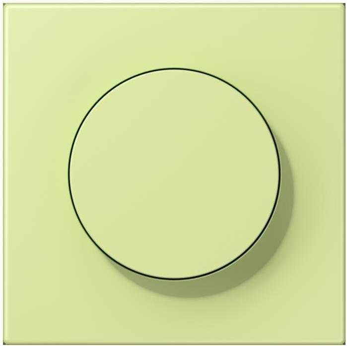 Actual product image JUNG Cover