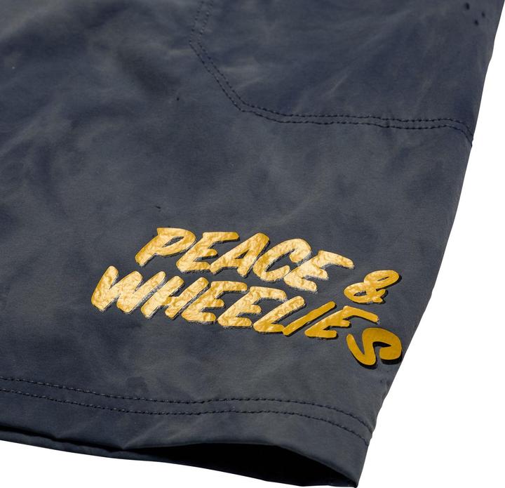 Image du produit Troy Lee Designs Skyline Trail Short Shell, Washed Out, dark cloud, 34 (34)