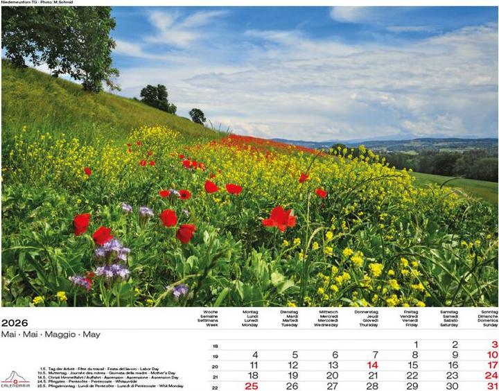 Produktbild Swiss Panorama 2026 (40 x 31 cm)