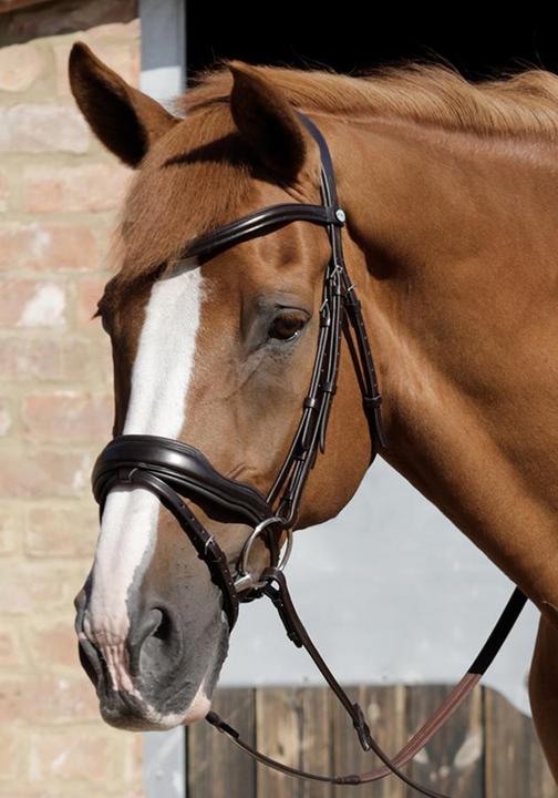 Premier Equine Bridle Rizzo anatomical