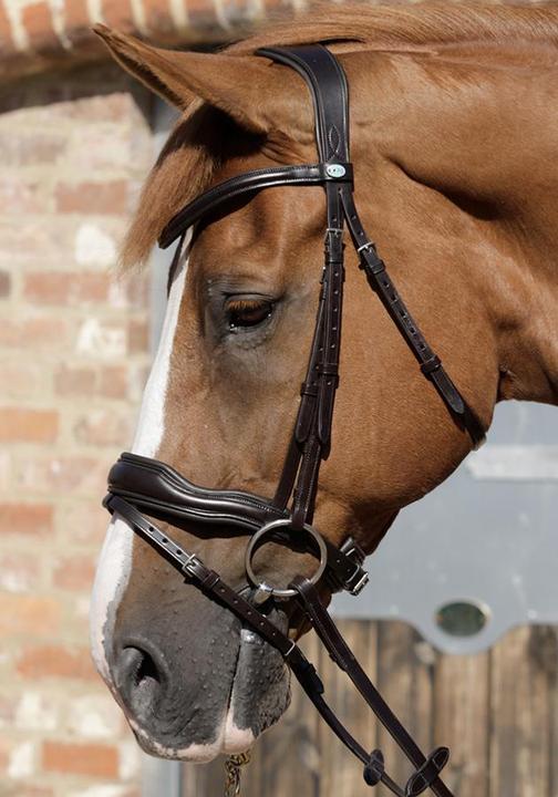 Actual product image Premier Equine Bridle Rizzo anatomical