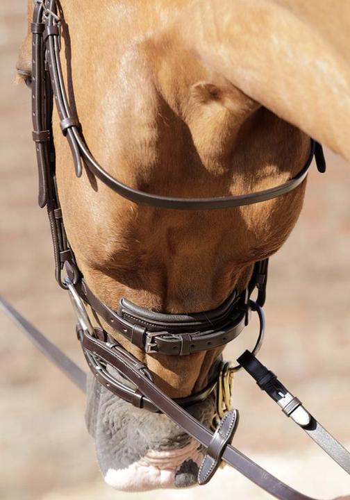 Actual product image Premier Equine Bridle Rizzo anatomical