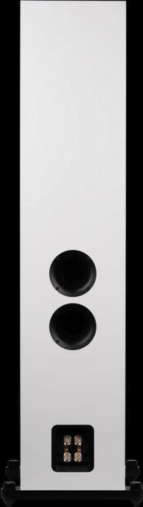 Image du produit Magnat Signature 809 (1 paire)