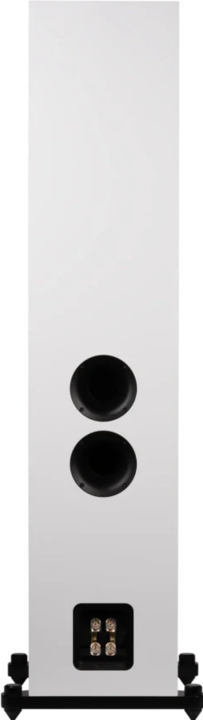 Image du produit Magnat Signature 809 (1 paire)
