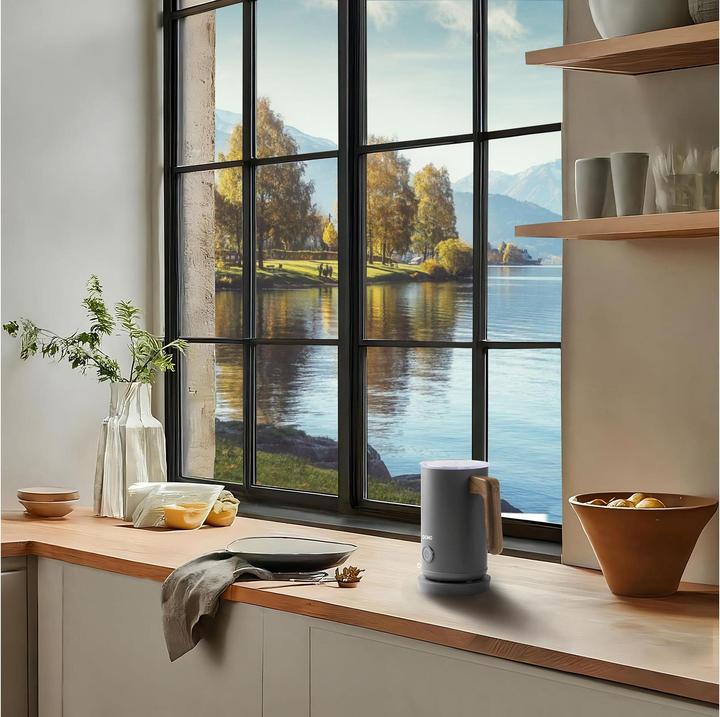 Productafbeelding Domo DO745MF (300 ml)