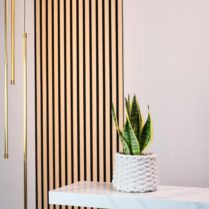 Produktbild Flowerbox Bogenhanf - Sansevieria trifasciata Superba (30 cm)