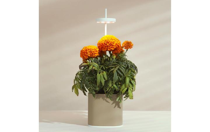 Actual product image Prêt à Pousser Herb Pot Nano, Sand Grey (13.50 cm)