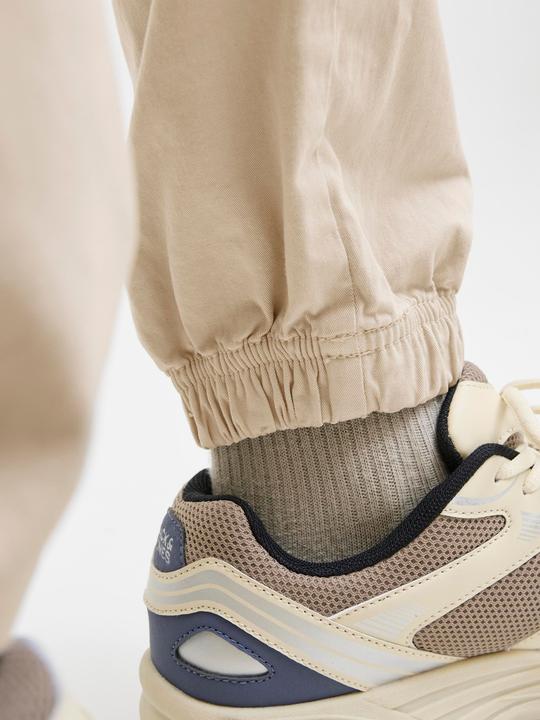 Actual product image Jack & Jones Jpstkane Troy Cuffed Jogger Sn (XS)
