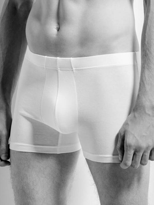 Immagine prodotto ISA Bodywear Panty Sam (XL, Confezione singola)