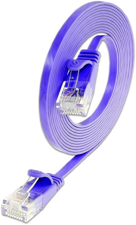 Actual product image Wirewin Network cable (U/UTP, CAT6, 0.15 m)