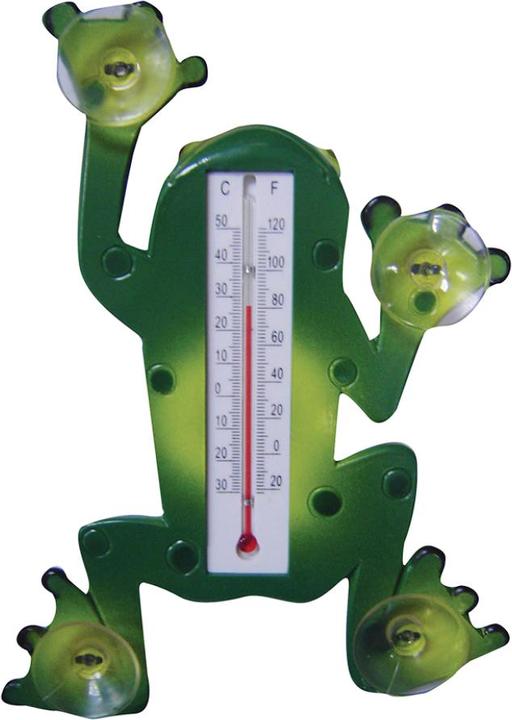 Produktbild Esschert Design Thermometer Frosch