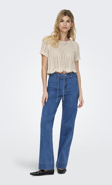 Image du produit Only Onlnola Life S/S Pullover Knt Noos (L)