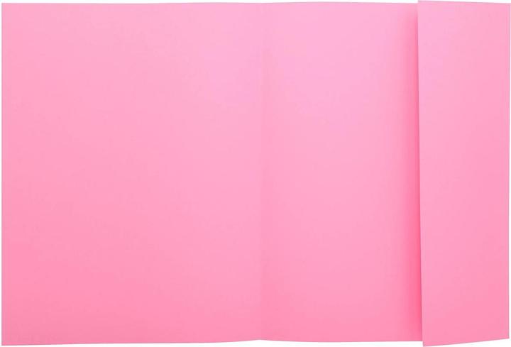 Actual product image Exacompta Collection folders - File covers (A4, 50 x)