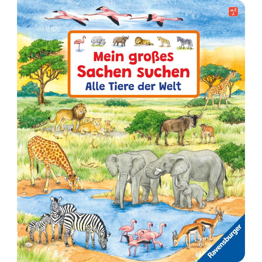 Mein grosses Sachen suchen: Alle Tiere der Welt, Kinderbücher von Susanne Gernhäuser, Ursula Weller