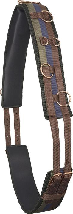 Imperial Riding Longiergurt IRHDeluxe Nylon