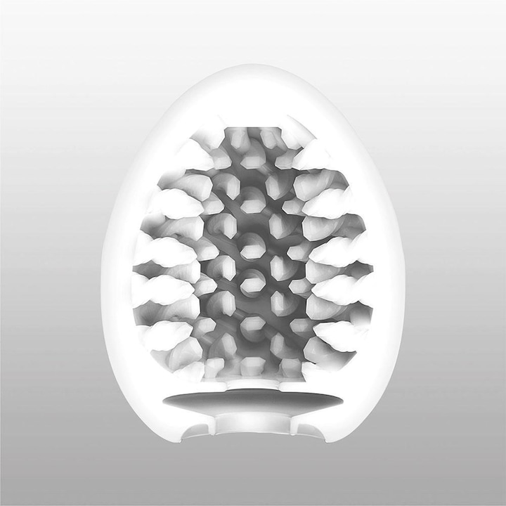 Actual product image Tenga Brush
