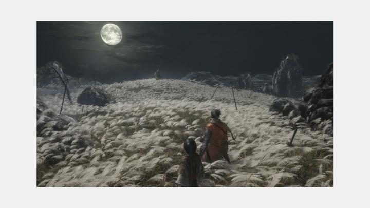 Immagine prodotto Activision Sekiro Shadows Die Twice Standard Xbox One (Xbox One S, EN)