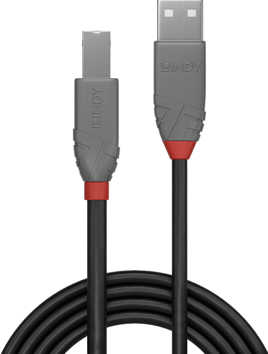 Actual product image Lindy USB/A-USB/B M-M (2 m, USB 2.0)