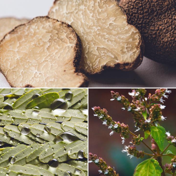 Immagine prodotto Cuccio Naturale Light Body Sufflé Tartufo Bianco (Latte corpo)