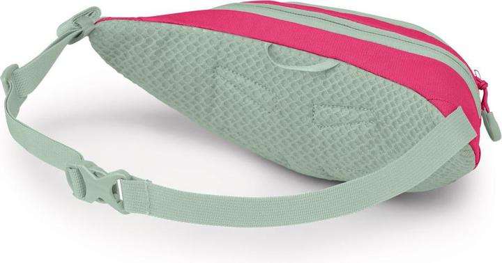 Actual product image Osprey Daylite Mini Waist
