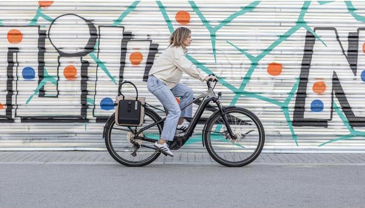 Immagine prodotto Shad Daily (16 l)