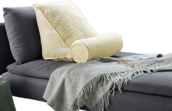 Image du produit Erwin Müller Coussin dorsal avec traversin (Litière)