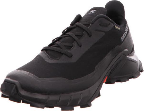 Image du produit Salomon Alphacross 5 GTX - 59879 (44 2/3)