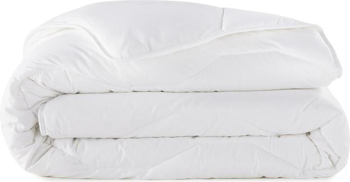 Produktbild La Redoute Interieurs Lri Synthetique Polyester Prot (260 x 240 cm)