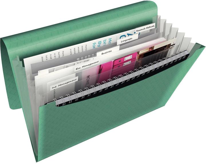 Image du produit Esselte Colour'Ice (A4, 1x)