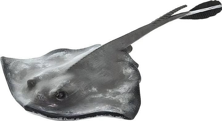 Actual product image Safari Stingray