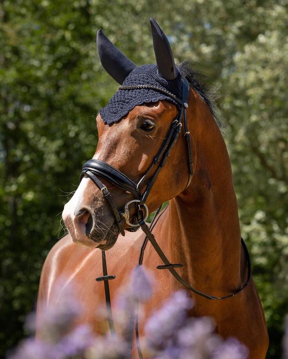 Actual product image Qhp Flore