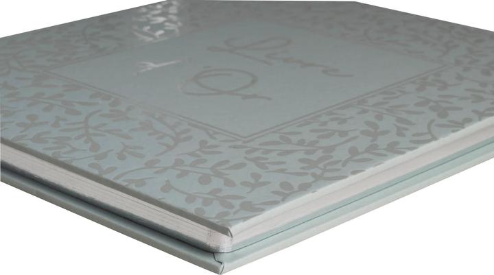 Actual product image Exacompta Gästebuch 70 Blatt blanko, Silberschnitt, 21x19 cm AutentiK (21 x 19 cm)