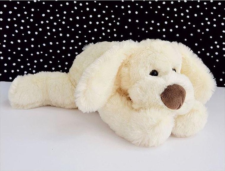 Actual product image Histoire D'ours Cookie (40 cm)
