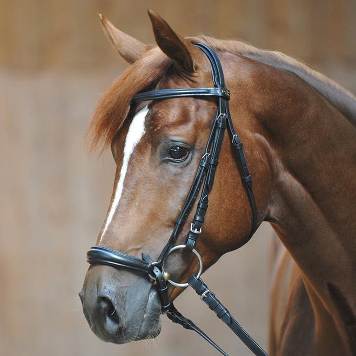 Image du produit Kavalkade bridons équitation lina