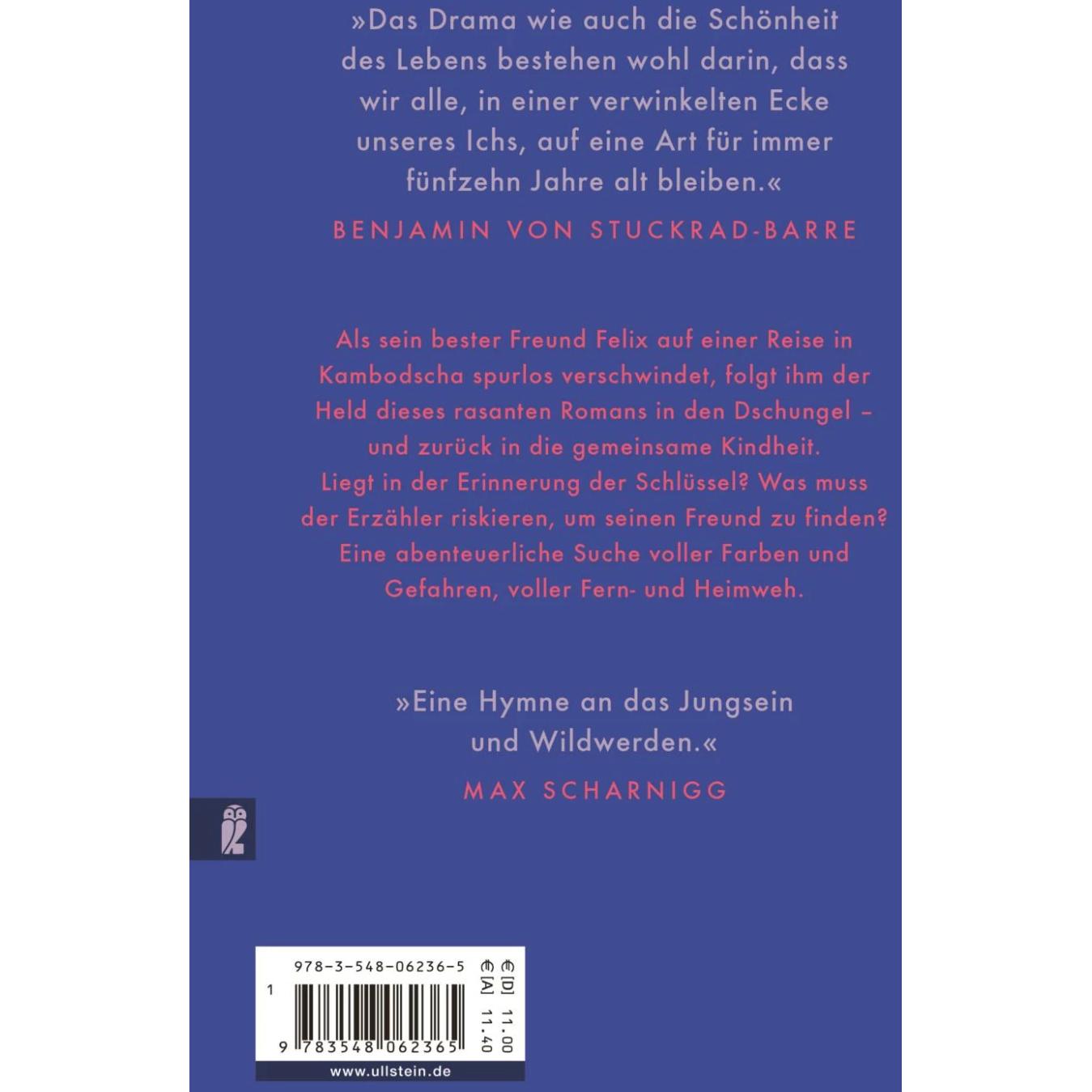 Thumbnail - Dschungel, Belletristik von Friedemann Karig