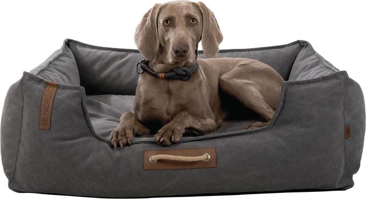 Produktbild Trixie Be Nordic Föhr (Hund)