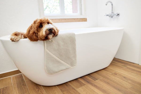 Immagine prodotto Palopa Asciugamano per cani (Cane)