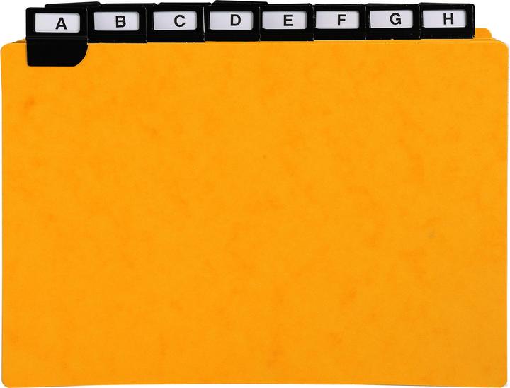 Immagine prodotto Exacompta Divisori Schede guida