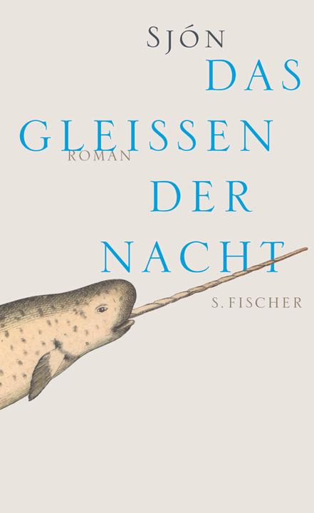Produktbild Das Gleissen der Nacht (Deutsch, 2011)