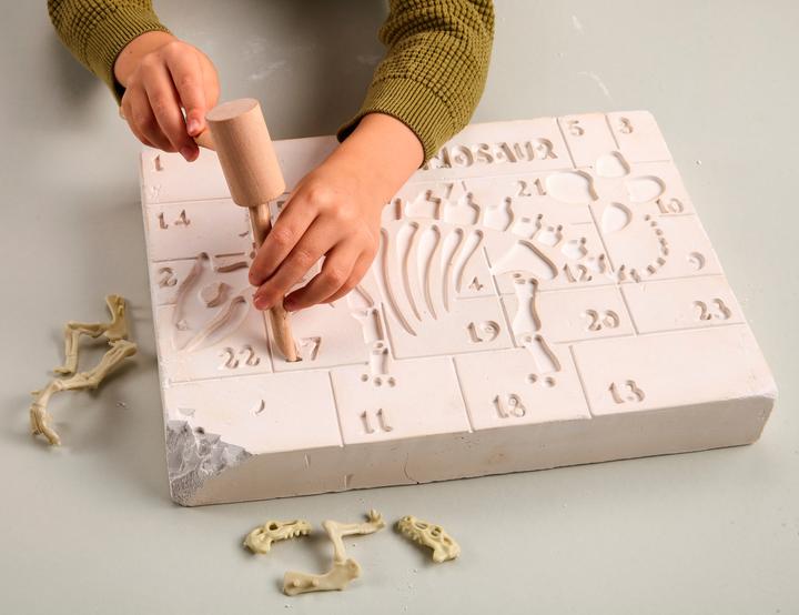 Actual product image Topp Dinosaur excavation