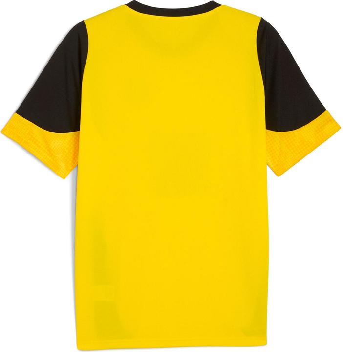 Produktbild Puma BVB Training Jersey (M)