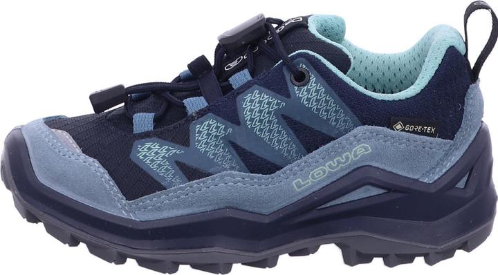 Produktbild Lowa Maddox Pro GTX LO (40)