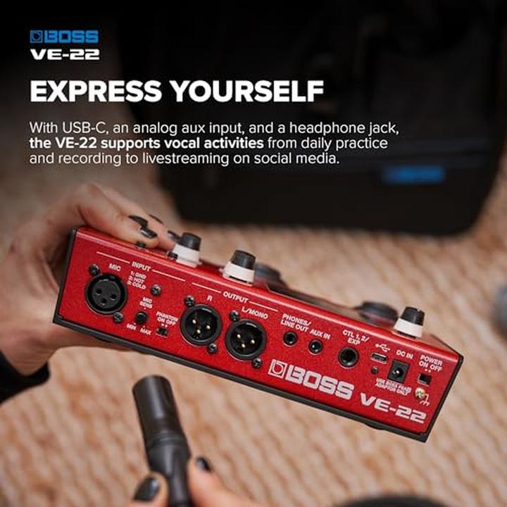 Actual product image BOSS (Electronics) VE-22 (Various)